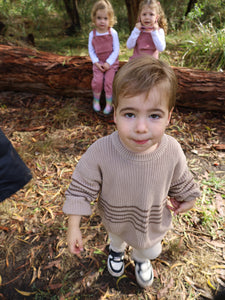 Brown Stripe Knit