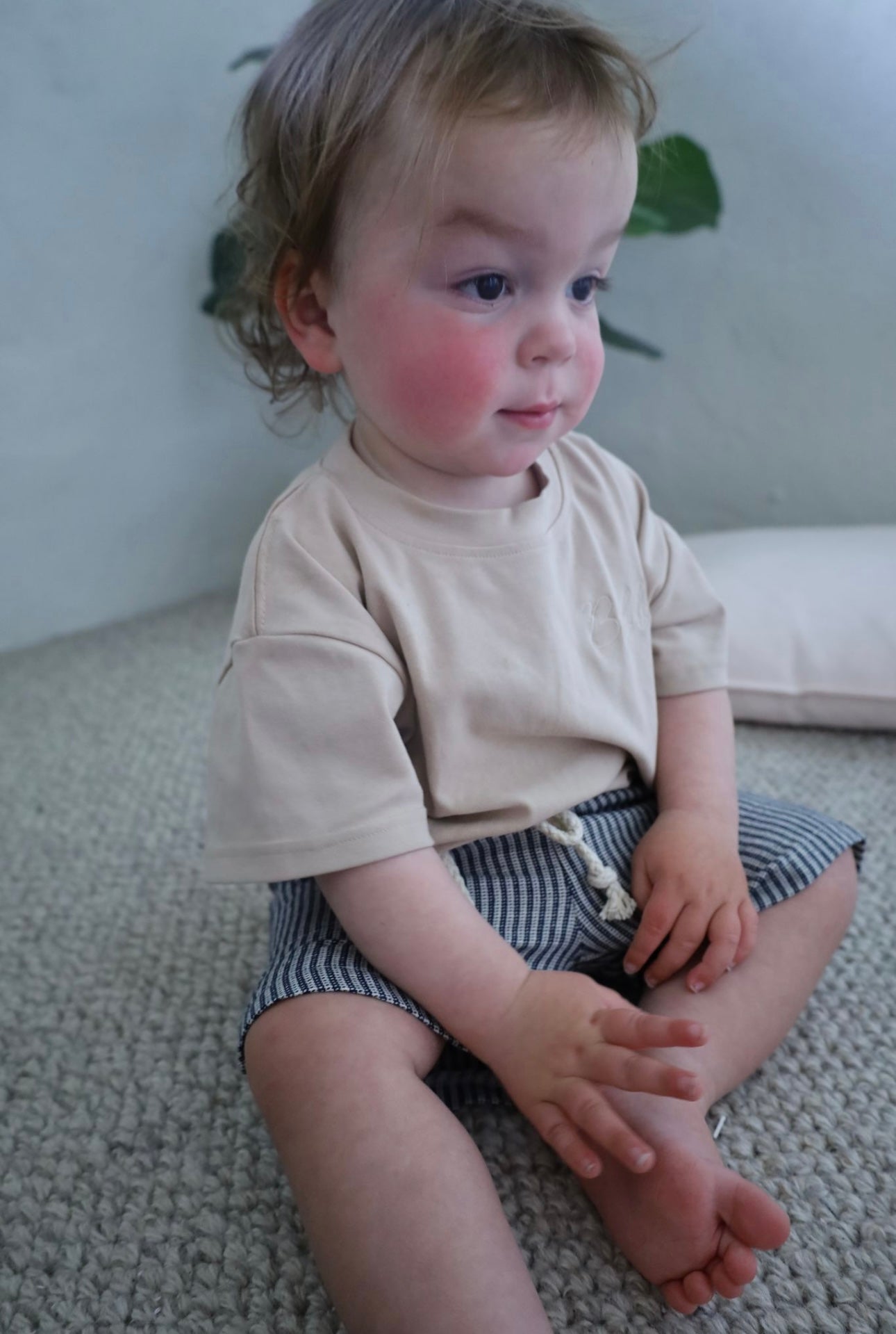 Navy Stripe Shorts