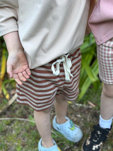 Brown Stripe Shorts