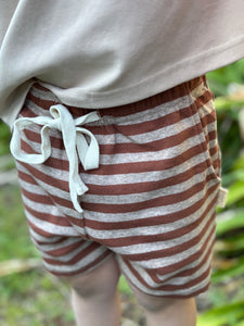 Brown Stripe Shorts