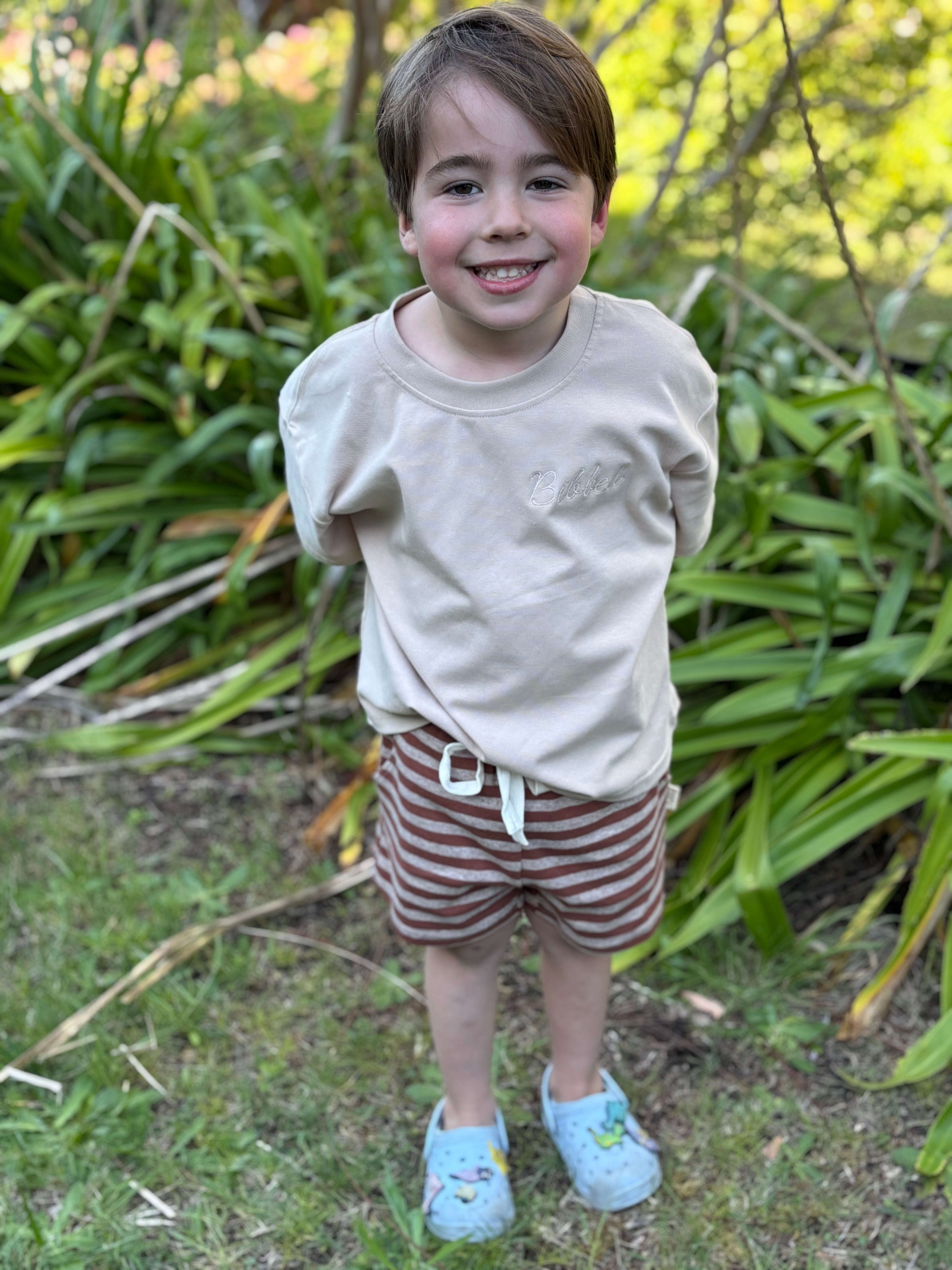 Brown Stripe Shorts