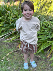 Brown Stripe Shorts