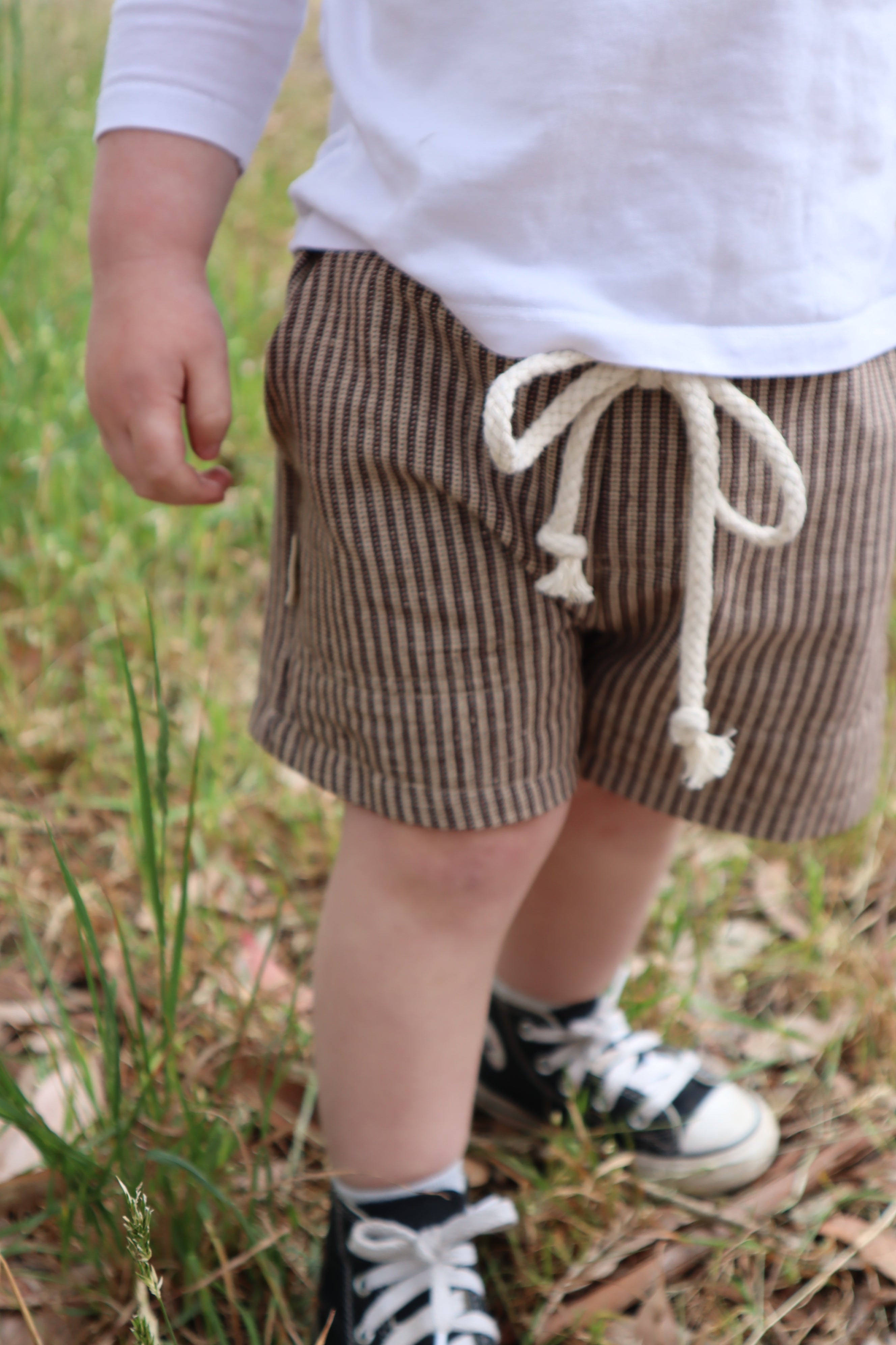 Brown Stripe Shorts