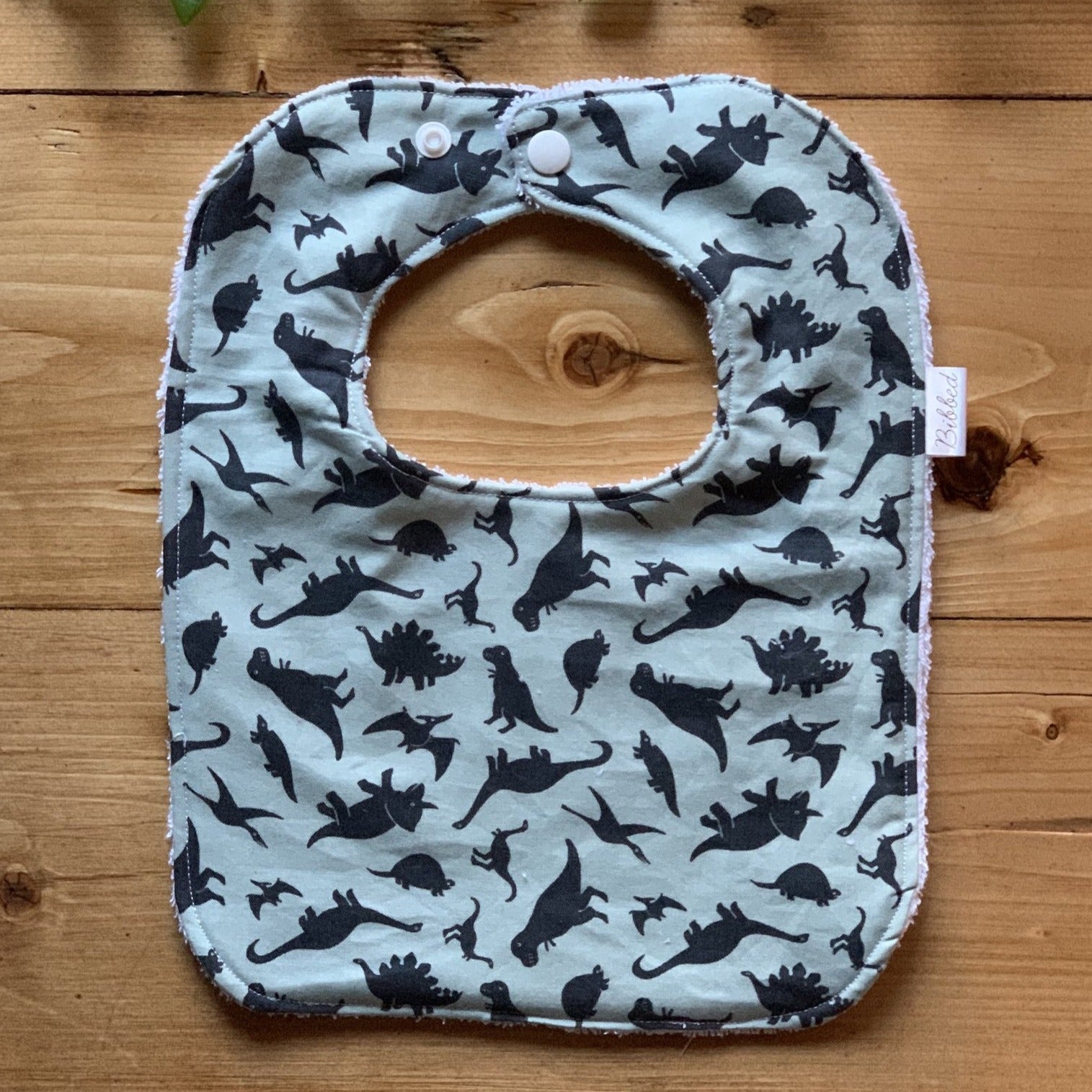 Dinosaurs Blue Dinner Bib